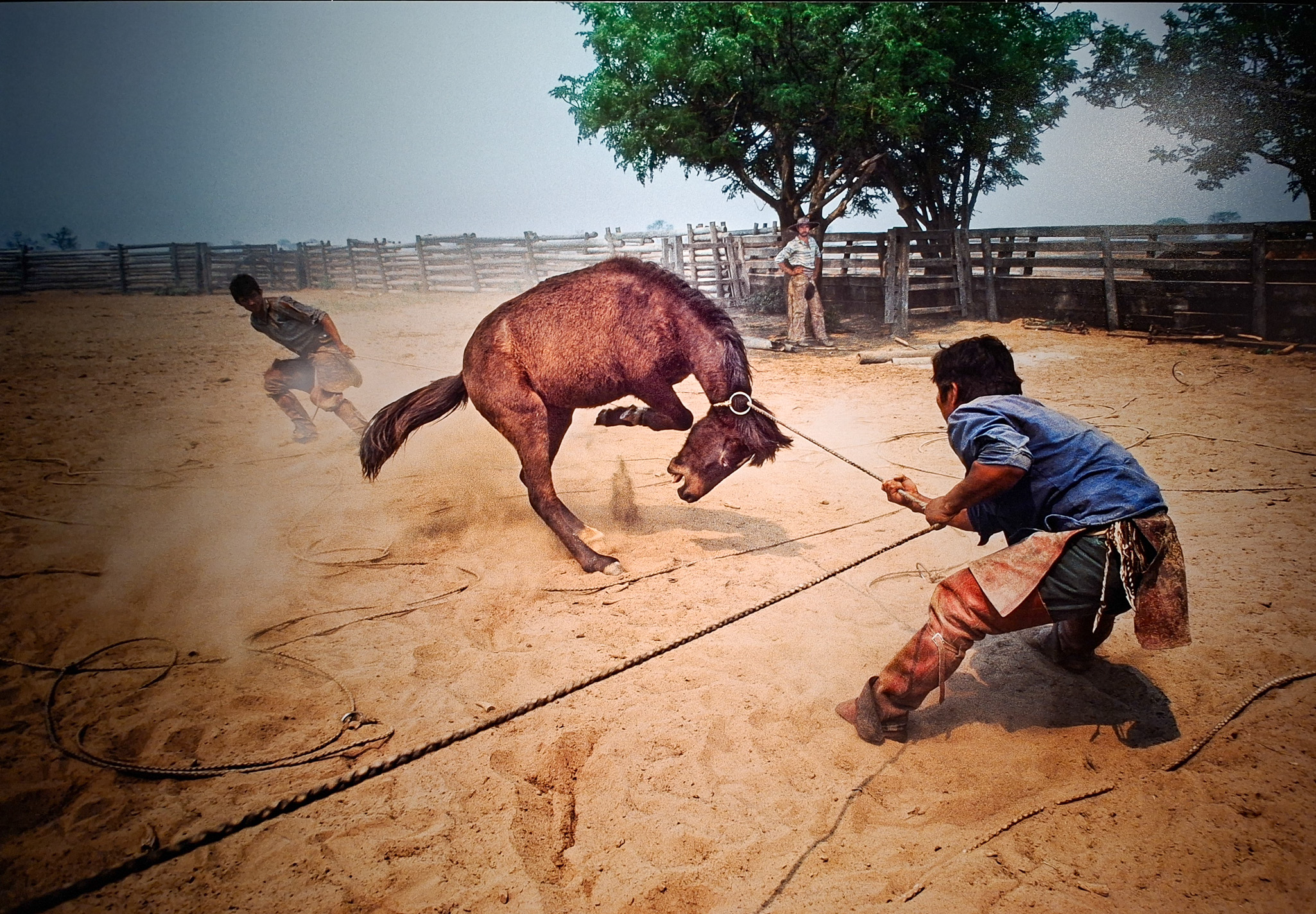 Móvil 20260613 Steve McCurry 106